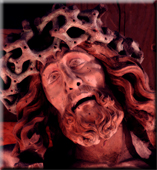 > The Seven Last Words Of Our Saviour On The Cross - Impressions to the concert
