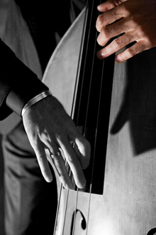 Bassiona Amorosa - Concert for Double Basses