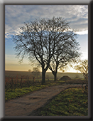 Nature - A series by Josef-Stefan Kindler